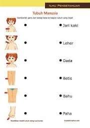 Contoh soal bahasa inggris tk kumpulan soal pelajaran 9. Download Soal Tk B Dunia Sosial