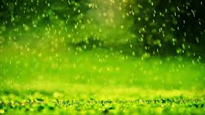 Hd wallpapers and background images. 48 Raining Wallpaper Downloads On Wallpapersafari