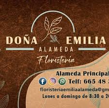 Floristería Emilia Alameda