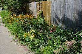 8 common garden pests to watch for and how to get rid of them. How To Fix An Overgrown Garden Kellogg Garden Organics