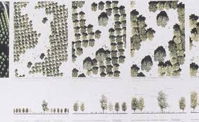 Michel Desvigne Landscape Theory Landscape Architecture Graphics Landscape And Urbanism Landscape
