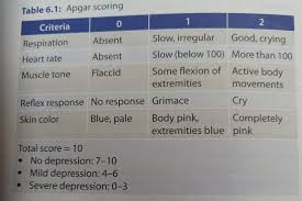 Apgar Score Apgar Score Muscle Tone Pediatrics