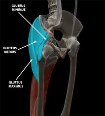 Let's take a look at the basic hamstring exercises that will help you to. Vb News Desk A Hip New Exosuit For Walking And Running