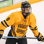 Profile Picture of Will Blake - Men's Hockey - University of Wisconsin-Superior Athletics (@uwsyellowjackets.com) on Google