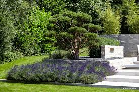 Mediterraner Stadtvillengarten Mit Grosszugiger Terrasse Und Loungebereich Gartengestaltung Garten Terrasse