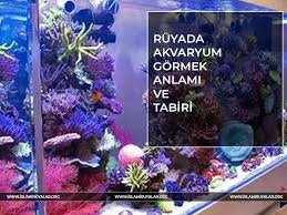 Ruyada Akvaryumda Balik Gormek Ne Demek Islami Islami Ve Dini Ruya Tabirleri Gercek Islami Kaynaklardan Diyanet Ve Ihya Ruya Tabirleri