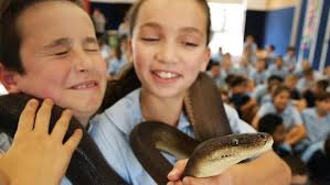Snakes come out to play during big wet