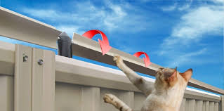 980 x 380 png 226 кб. Catproof Gardens