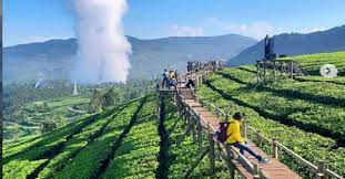 Maybe you would like to learn more about one of these? Tempat Wisata Baru Di Bandung Kebun Teh Wayang Windu Panenjoan Lagi Hits