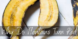 It is also proven that the fruit content changes as it. Why Do Plantains Turn Red Inside Here S What We Found Out Foodiosity