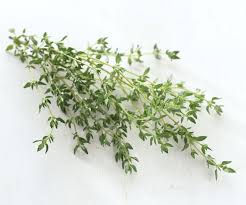 Sesuai untuk mereka yang ingin mengembangkan perniagaan atau perniagaan yang syarikat sdn. Pun Chou Pcg Com My