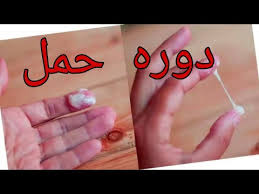 شكل ولون وسمك الافرازات الداله علي الحمل بعد ايام التبويض مباشره وقبل ميعاد الدوره بإسبوع Youtube