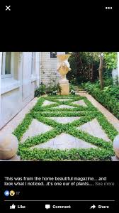 Dichondra Repens Kidney Plant Ground Cover Between Pavers Out Front Plants Ground Cover Outdoor Decor