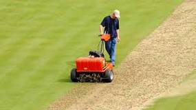 Image result for why do golf courses overseed