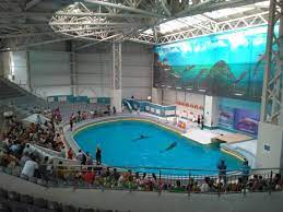 Iata programul reprezentatiilor de la delfinariu constanta si demonstratiilor de la planetariu, de asemenea preturile valabile in sezonul estival 2014. Program De PrimÄƒvarÄƒ La Delfinariu Constanta Ro