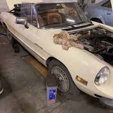 Image result for Avorio 1981 Alfa-Romeo