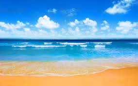 Jetzt shutterstocks neue suchfilter testen! Beach Background Hd 7680x4800 Wallpaper Teahub Io
