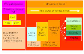 Lesson 1 Introduction To Communicable Diseases Include