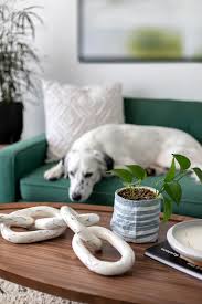 We did not find results for: Diy Faux Marble Paper Mache Chain Decor Ctrl Curate