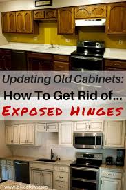 You can get as decorative as you want by adding trim. Updating Old Cabinets How To Get A Modern Look Replacing Kitchen Cabinets Update Kitchen Cabinets Kitchen Cabinets Hinges
