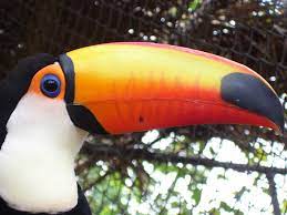 Im plural steht ein umlaut. Bild Des Tages Riesentukanschadel Bestiarium