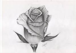 Tattoo Design Of Rose Bud Rose Bud Tattoo Roses Drawing Rose Vine Tattoos
