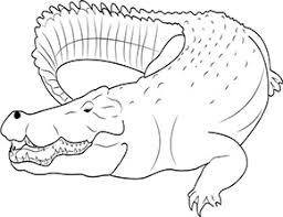 Ausmalbild Krokodil Im Zoo In 2020 Ausmalen Zootiere Ausmalbilder Tiere