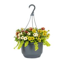 Sitting near a sweet alyssum hanging basket is like being in the presence of a fragrant cloud. Hanging Basket Annuals At Lowes Com