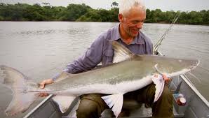 15 Largest River Monster Fish Caught By Jeremy Wade