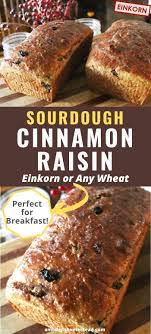 Cinnamon Raisin Sourdough Bread Einkorn Friendly Recipe In 2020 Bread Recipes Sweet Cinnamon Raisin Bread Recipe Cinnamon Raisin