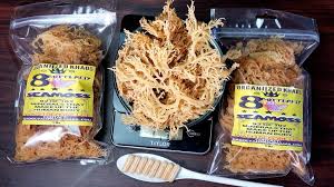 Sea Moss 100 Raw Irish Moss Wildcrafted Dr Sebi Recommended Chondrus Crispus Red Algae In 2020 Sea Moss Irish Moss Red Algae