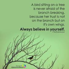 Previous articlenever blame anyone in your life. A Bird Sitting On A Tree Is Never Afraid Of The Branch Breaking
