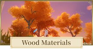 How to get a picture on wood. Genshin Impact How To Get Wood Where To Farm Tree Location Gamewith