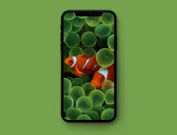Original Apple Wallpapers Optimized For Your Iphone Download 4k wallpapers ultra hd best collection. original apple wallpapers optimized for