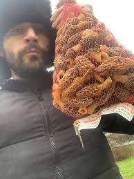 Warrick County 4/4/25 early results and more to come