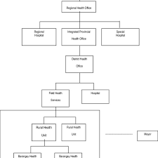 Pre Devolution Organizational Structure Of The Philippine