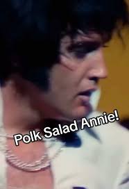 I'm Talking about Annie and Bree and Presley