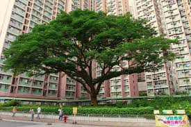 The site owner hides the web page description. ç§€èŒ‚åªé‚¨ Wikiwand