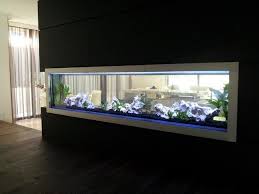 Tetra's multipack provides everything you need to get started, including an anemone for your fish. Pin On Aquauarium