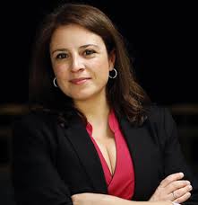De esta forma, fue elegido diputado y en junio de 2015 se convirtió en portavoz del grupo parlamentario socialista en el parlamento regional. Adriana Lastra Wikipedia La Enciclopedia Libre