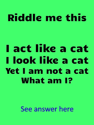 Do You Think You Can Find The Answer Funny Riddles Brain Teasers For Adults Brainteasers Riddle Funny Riddles Brain Teasers For Adults Funny Brain Teasers