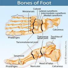 Foot Pain Diagnosis Achilles Tendinitis Causes Home