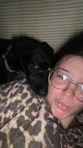 Lost golden retriever near Cherry Springs golf course in Tahlequah