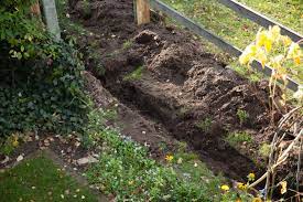Durch altes, abgestandenes wasser bildet sich mit der zeit ein grüner, dreckiger belag in der tonne. Versickerung Furs Regenwasser Selber Bauen So Geht S