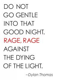 Do Not Go Gentle Into That Good Night Words Quotes Quotable Quotes