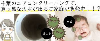 Https Xn Ccklwen9lyiqcd2g5187b856g Net Chiba