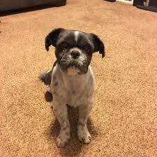 Timothy Hunt Burton Obituary December 25, 2020