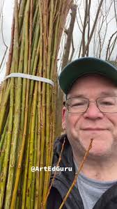 Creating Willow Tree Sculptures with Patrick Dougherty