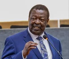 Public participation is not optional. If not properly conducted, laws and  policies can be challenged and overturned. We must rationalize the process  without compromising its spirit," Musalia Mudavadi, Prime CS