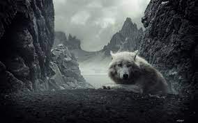 Maybe you would like to learn more about one of these? 1000 Wolf Hd Wallpapers Background Images